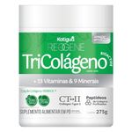 tricolágeno verisol + colágeno tipo ii + colágeno hidrolisado 13 vitaminas 9 minerais sabor limão 275g reggene katiguá