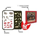 quebra-cabeça polibrinq 3d dino anatomy dno01 (mp)