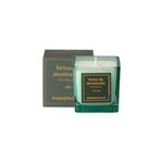 vela aromática paramount brisa da montanha 50g 3498 (mp)
