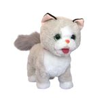 pelúcia gato zoop toys amigos zp01420 (mp)